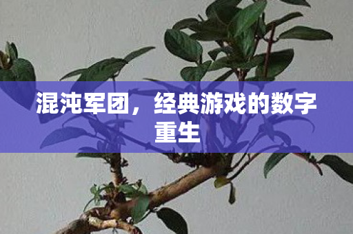 混沌军团，经典游戏的数字重生