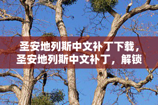 圣安地列斯中文补丁下载，圣安地列斯中文补丁，解锁游戏新世界的钥匙