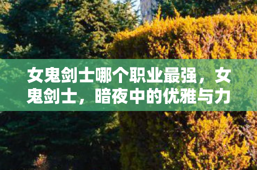 女鬼剑士哪个职业最强，女鬼剑士，暗夜中的优雅与力量