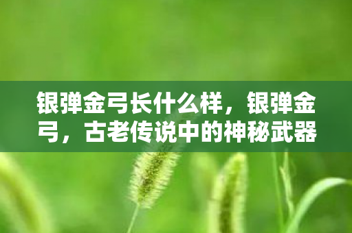 古老传说中的神秘武器图片