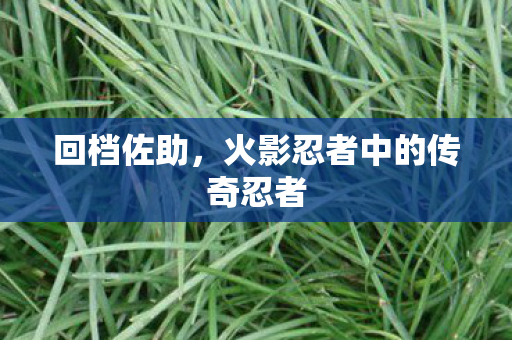 回档佐助，火影忍者中的传奇忍者