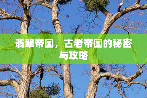 翡翠帝国，古老帝国的秘密与攻略