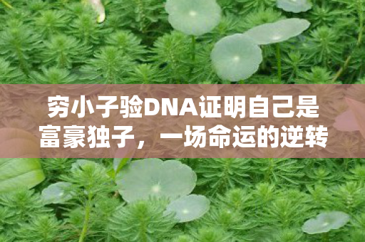 穷小子验DNA证明自己是富豪独子，一场命运的逆转