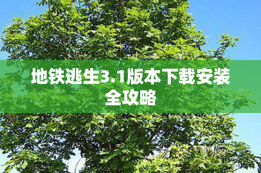 1版本下载安装全攻略图片