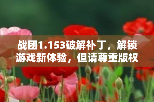战团1.153破解补丁，解锁游戏新体验，但请尊重版权