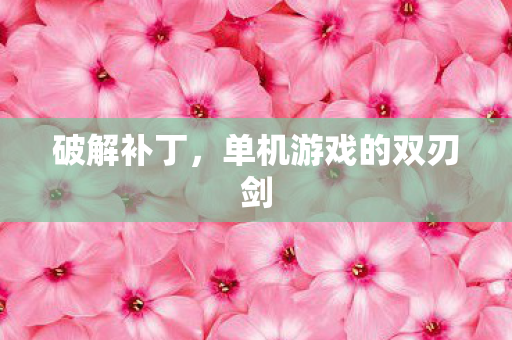 破解补丁，单机游戏的双刃剑