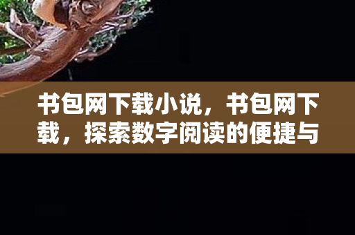书包网下载小说，书包网下载，探索数字阅读的便捷与乐趣