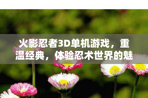 火影忍者3D单机游戏，重温经典，体验忍术世界的魅力