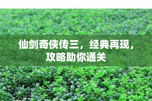 仙剑奇侠传三，经典再现，攻略助你通关