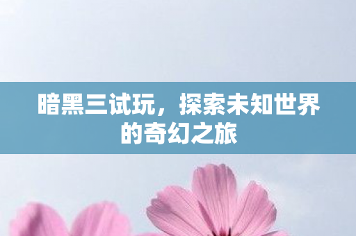 暗黑三试玩，探索未知世界的奇幻之旅