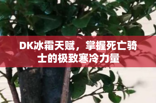 DK冰霜天赋，掌握死亡骑士的极致寒冷力量