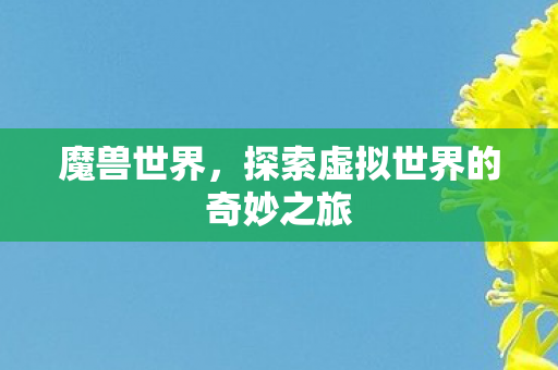 魔兽世界，探索虚拟世界的奇妙之旅
