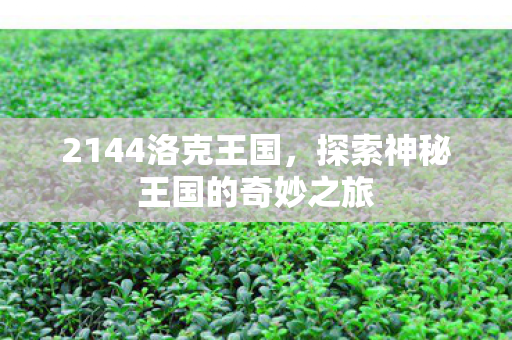 2144洛克王国，探索神秘王国的奇妙之旅