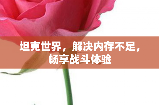 坦克世界，解决内存不足，畅享战斗体验