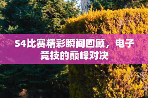 S4比赛精彩瞬间回顾图片