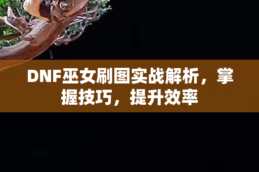 DNF巫女刷图实战解析图片