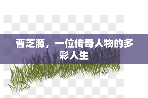 一位传奇人物的多彩人生图片