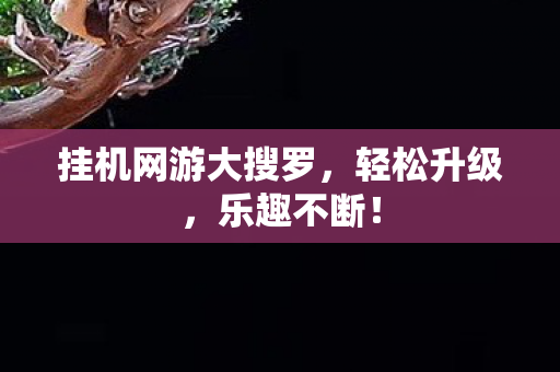 挂机网游大搜罗图片