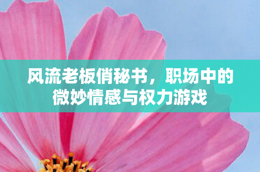 风流老板俏秘书,职场中的微妙情感与权力游戏 风流老板俏秘书,职场中的微妙情感与权力游戏