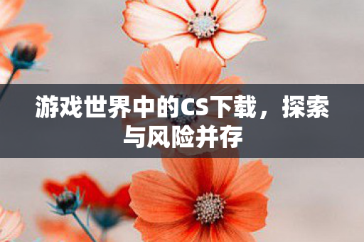 游戏世界中的CS下载，探索与风险并存