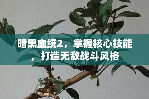 打造无敌战斗风格图片