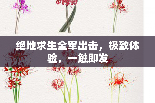 绝地求生全军出击，极致体验，一触即发