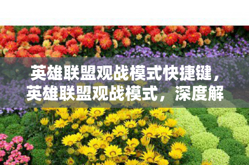 英雄联盟观战模式快捷键,英雄联盟观战模式,深度解析与体验指南 英雄联盟观战模式快捷键,英雄联盟观战模式,深度解析与体验指南