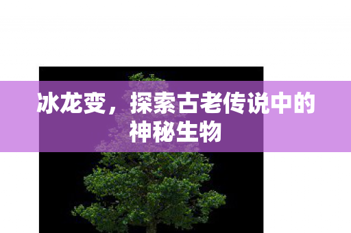 冰龙变，探索古老传说中的神秘生物