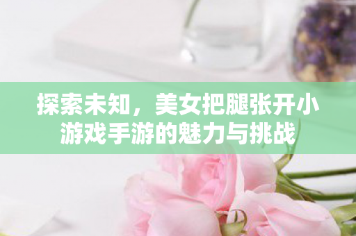 探索未知，美女把腿张开小游戏手游的魅力与挑战
