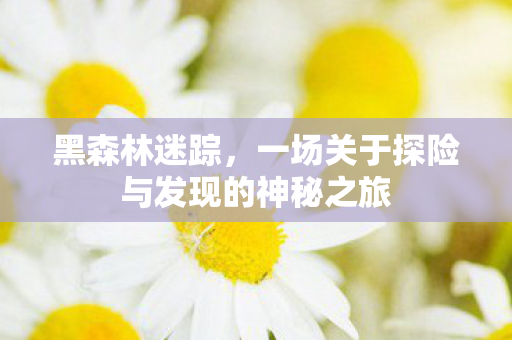 黑森林迷踪，一场关于探险与发现的神秘之旅