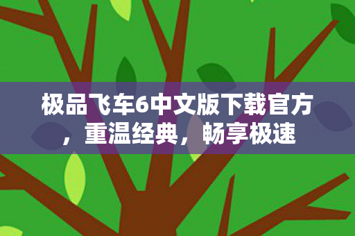 极品飞车6中文版下载官方，重温经典，畅享极速
