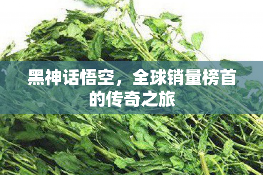 全球销量榜首的传奇之旅图片