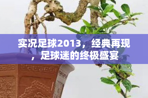 实况足球2013图片