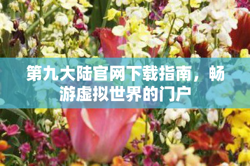 第九大陆官网下载指南图片