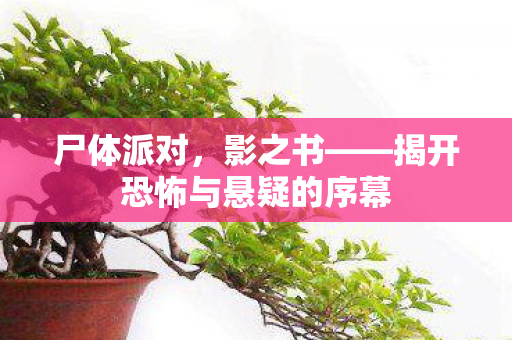 揭开恐怖与悬疑的序幕图片