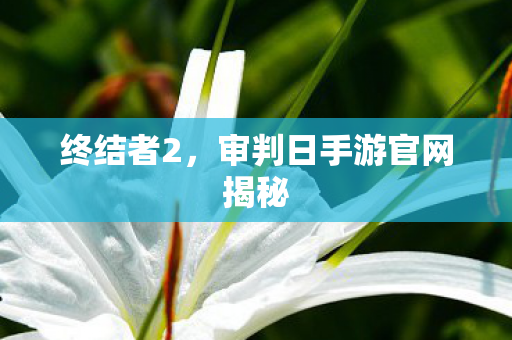 审判日手游官网揭秘图片