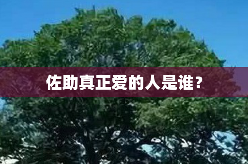 佐助真正爱的人是谁图片