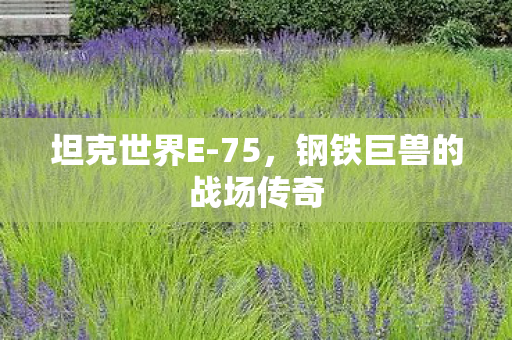 坦克世界E-75,钢铁巨兽的战场传奇 坦克世界E-75,钢铁巨兽的战场传奇