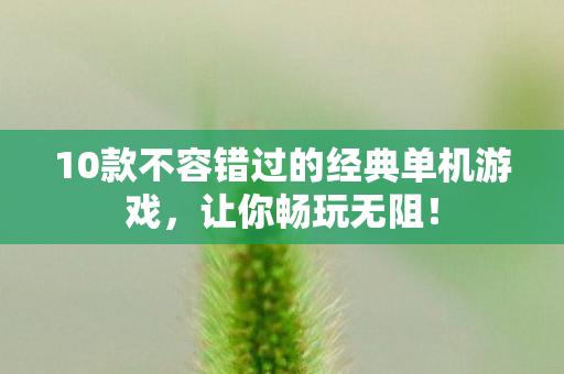 10款不容错过的经典单机游戏图片