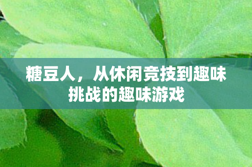 从休闲竞技到趣味挑战的趣味游戏图片