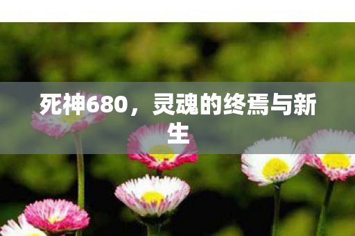 灵魂的终焉与新生图片