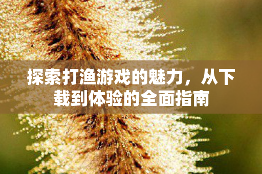 从下载到体验的全面指南图片