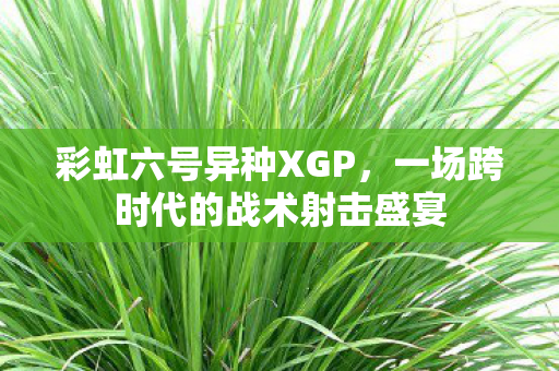 一场跨时代的战术射击盛宴图片