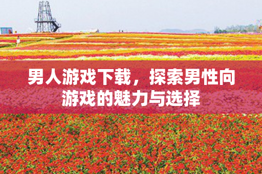 探索男性向游戏的魅力与选择图片