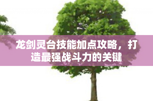 龙剑灵台技能加点攻略图片