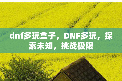 dnf多玩盒子,DNF多玩,探索未知,挑战极限 dnf多玩盒子,DNF多玩,探索未知,挑战极限