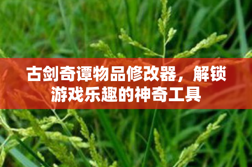 解锁游戏乐趣的神奇工具图片