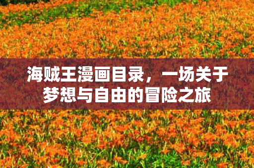 一场关于梦想与自由的冒险之旅图片