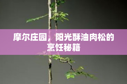 阳光酥油肉松的烹饪秘籍图片