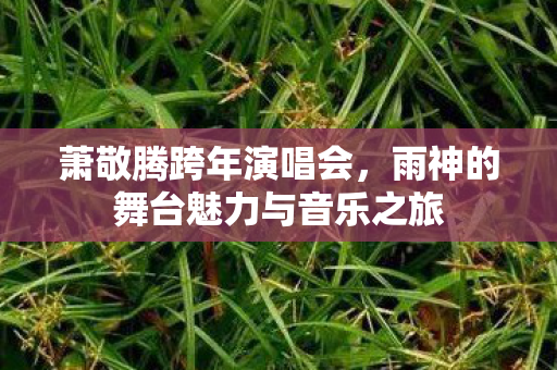 雨神的舞台魅力与音乐之旅图片